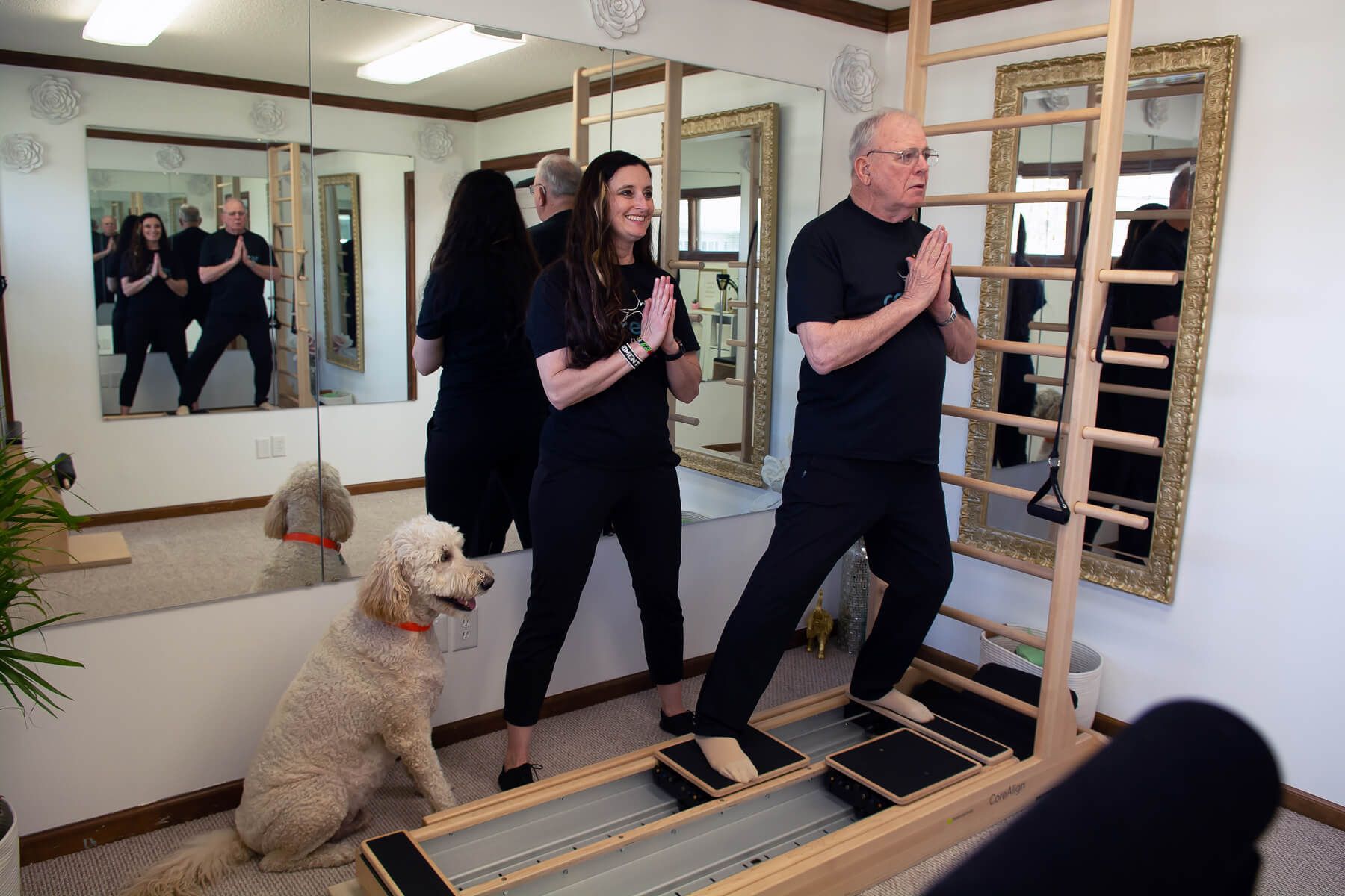 The CoreAlign for Pilates Rehab